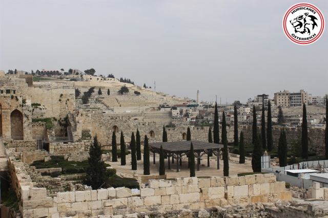 israel - oesterreich 24.3.2019 57